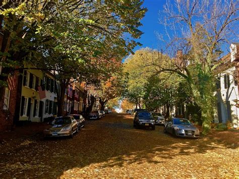 A Quick Guide To Alexandria Virginia Read To Travel