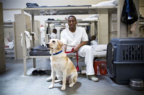 How Dogs Help Prisoners