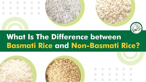 Basmati Vs Non Basmati Rice Understanding The Differences Planthd