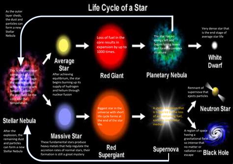 Life Cycle Of A Star Poster Ph
