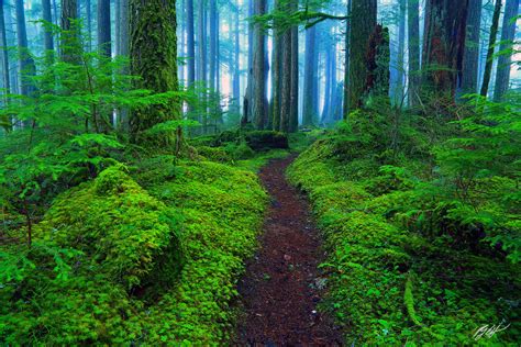 F009 Baker Lake Trail Mt Baker Snoqualmie National Forest Washington Randall J Hodges