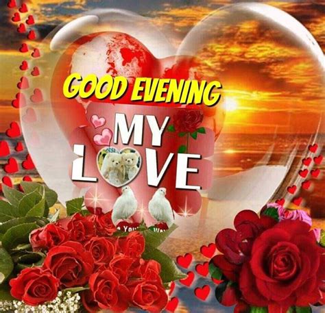 My Love Good Evening Pictures Photos And Images For