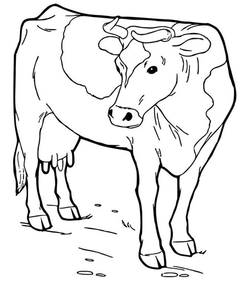 Desenhos De Vaca Fofa Para Colorir E Imprimir Colorironlinecom