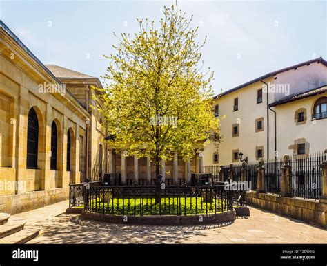 The Tree Of Guernica Gernika Basque Country Sunny Day Stock Photo