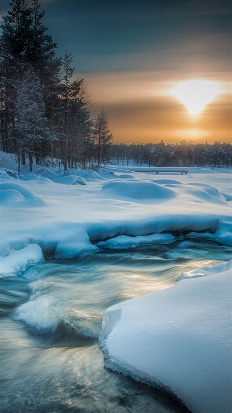 Stream River Between Pine Trees During Sunset In Winter 4k Hd Nature