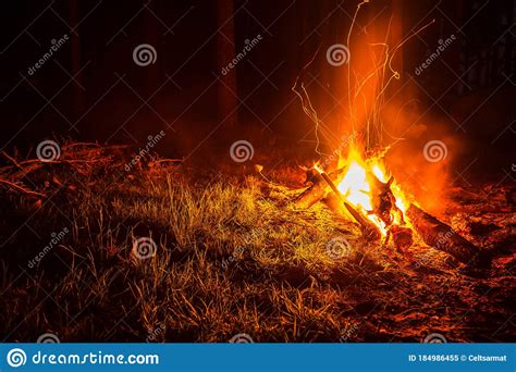 Bonfire At Night In The Forest Sparks From A Fire Night Campfire