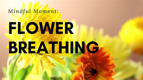 Mindful Moment Flower Breathing Activity For Kids Youtube