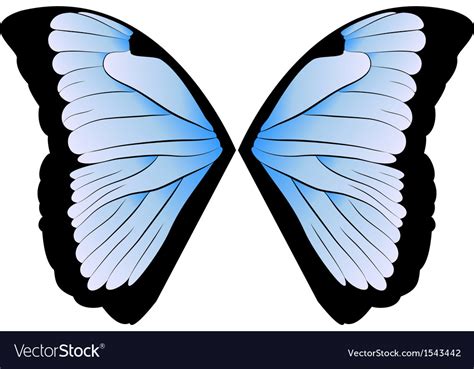 Butterfly Wings Design