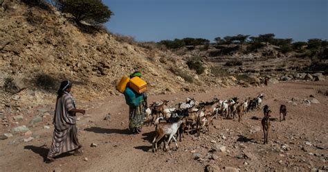 Horn Of Africa Millions Suffering Due To Prolonged Drought