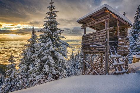 Log Cabin Tower Overlooking Snow Covered Mountain Forest Image Id