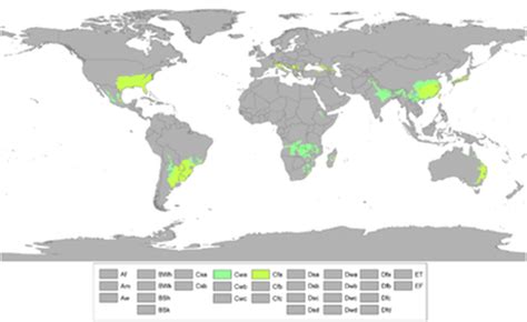 Geographic Distribution Humid Subtropical Region