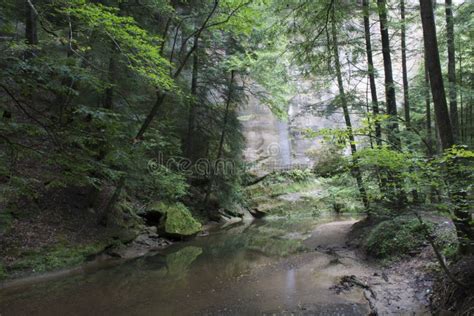 Small Stream Winding Through Gorge Stock Image Image Of Trees Cave