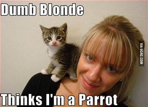Dumb Blonde 9gag
