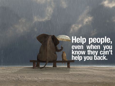 Helping Other People Quotes Quotesgram