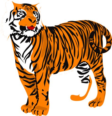 Download High Quality Tiger Clipart Jungle Transparent Png Images Art