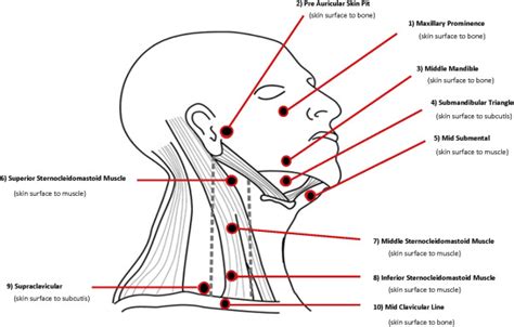 Preliminary Evaluation Of Reliability And Validity Of Head And Neck
