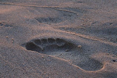 New Human Footprint Discovery? - Creation Clues