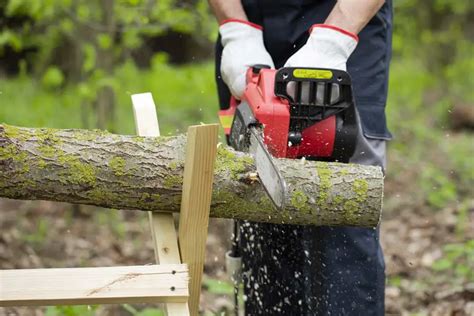 How To Cut Firewood Efficiently The Ultimate Guide Saw Features