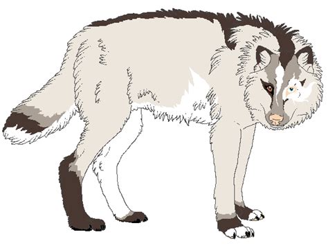 Vinny Ref Female Wolf Fursona By Boldshadow On Deviantart