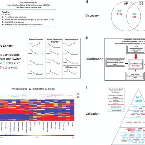 Biomarker Discovery Prioritization And Validation Discovery Cohort