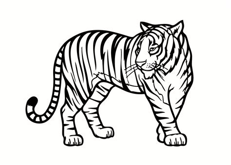 Endangered Species Drawing | Free download on ClipArtMag