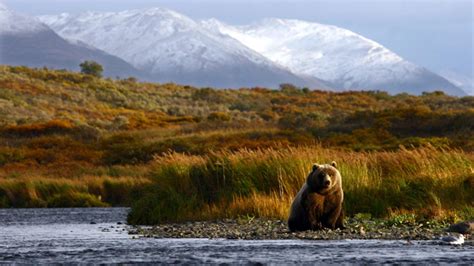 Kodiak National Wildlife Refuge Travel Alaska