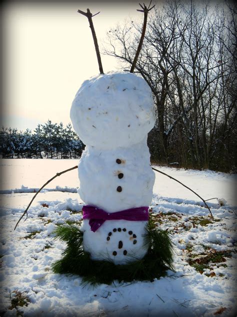 See more ideas about home decor, decor, home. Competition Cheerleading Snowman | Design, Snowman ...