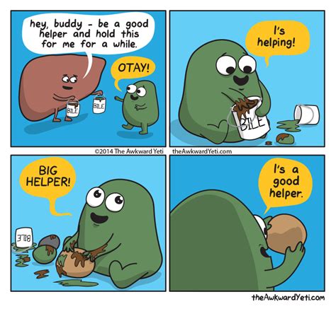 Best Of Angry Liver Awkward Yeti Awkward Funny Funny Memes