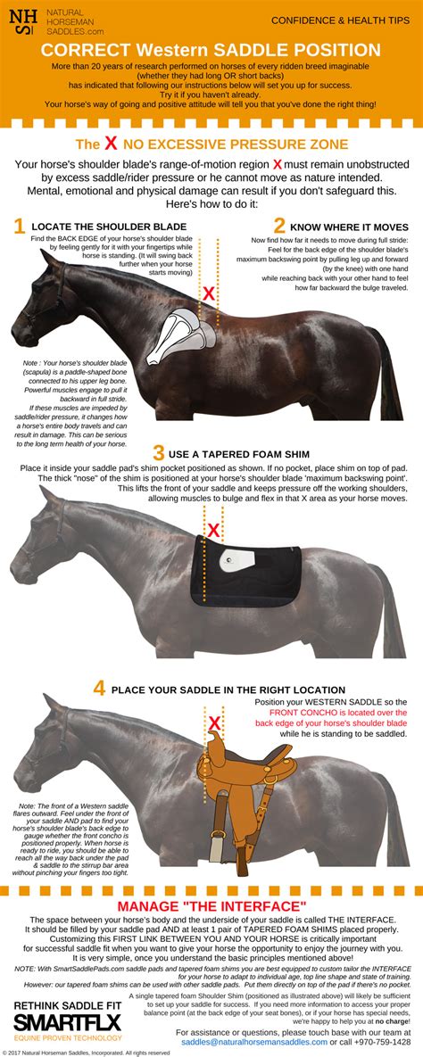 Position Your Saddle Natural Horseman Saddles
