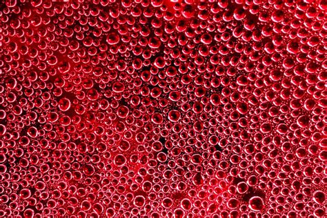 Trypophobia Symptoms Causes And Therapy