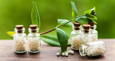 Benefits Of Homeopathy Claire Chaubert