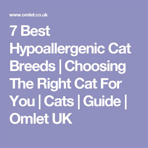 7 Best Hypoallergenic Cat Breeds Choosing The Right Cat For You