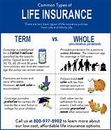 Types Of Whole Life Insurance Policy Images