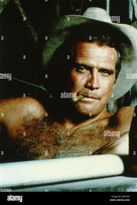 American Actor Lee Majors In The Tv Series The Fall Guy Usa 1981 Stock