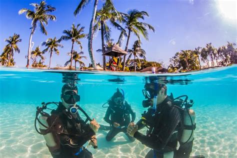 Diving Spots In The Philippines Travel Dudes