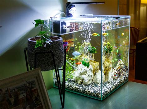 Best Nano Reef Tanks Top 6 Options With Reviews For Small Fish And Reefs