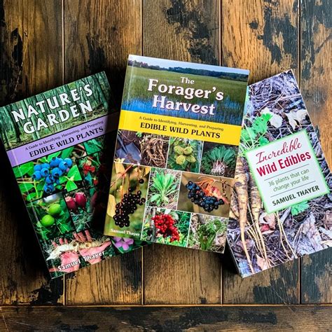 12 Best Books On Foraging And Wildcrafting Wild Edibles Foraging