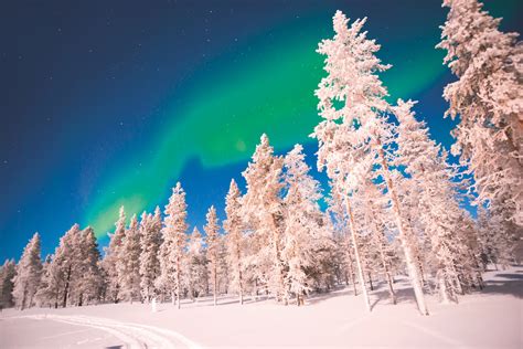 Arctic New Year Northern Lights Tour 7 Days6 Nights December 2019