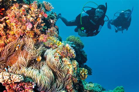 Sustaining The Great Barrier Reef Swain Destinations