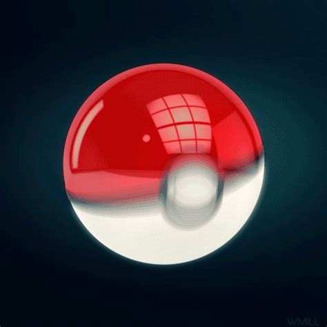 Pokeballs Wiki Pokémon Amino