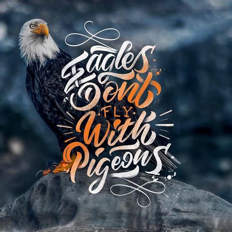 Success Eagles Quote Daily Quotes