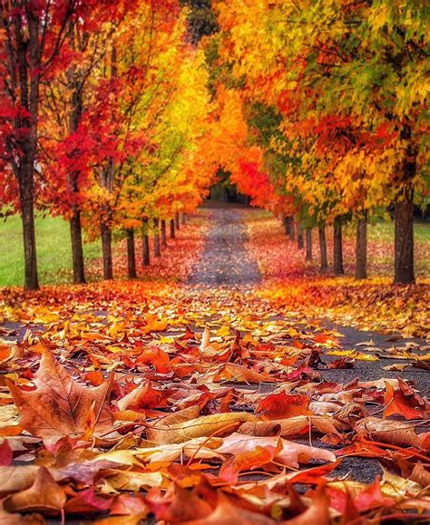 Piclogy On Twitter Autumn Scenes Fall Pictures Autumn Scenery