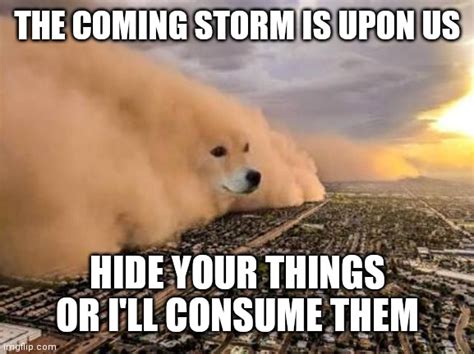 Image Tagged In Dust Storm Dog Imgflip