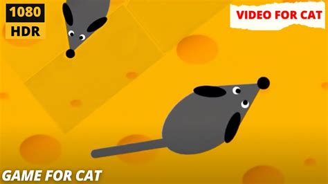 Cat Games Mouse Mice Cats Tv Rat Games For Cats Video