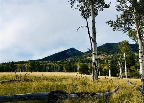 The Top 10 Hiking Trails In Flagstaff Arizona Hike The Planet