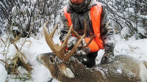 Weather And Whitetail Movement Hunt When Conditions Are Most