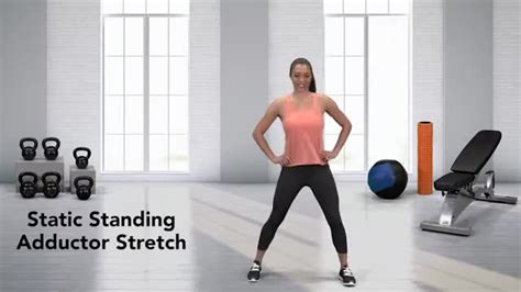 Static Standing Adductor Stretch