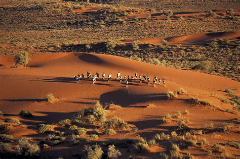 Kalahari Desert Angola Botswana Namibia And South Africa The Kalahari Desert Is A Large Semi