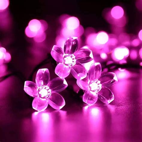 Blossom Flower Fairy Lights Purple Eswarr Electricals