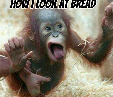 Pin By Letitia Breeden On Funny Pics And Quotes Funny Monkey Pictures